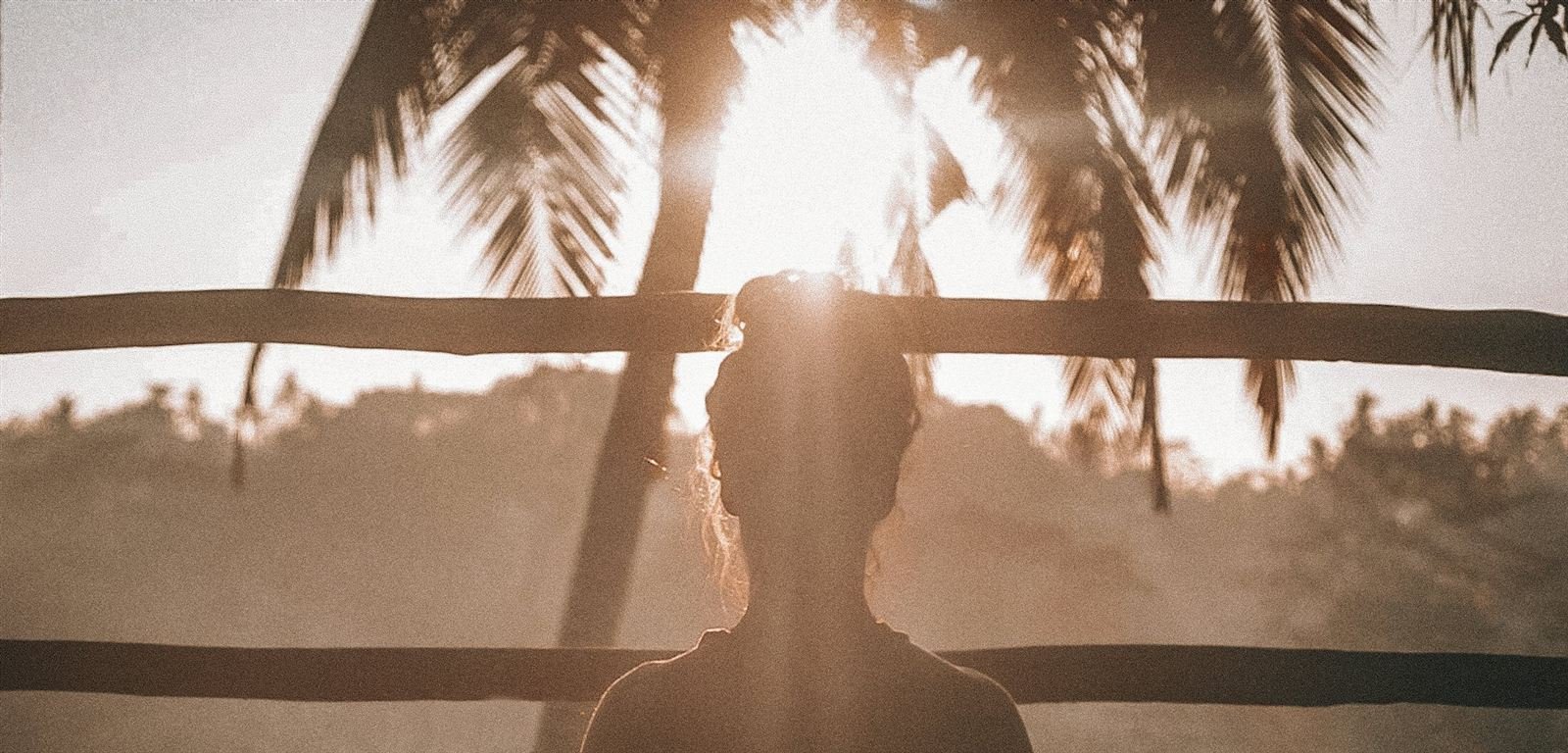 A person meditating in warm morning light framed by palm leaves
