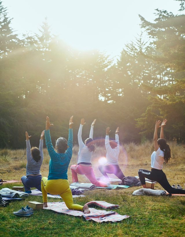 A group raising their arms in morning light among trees