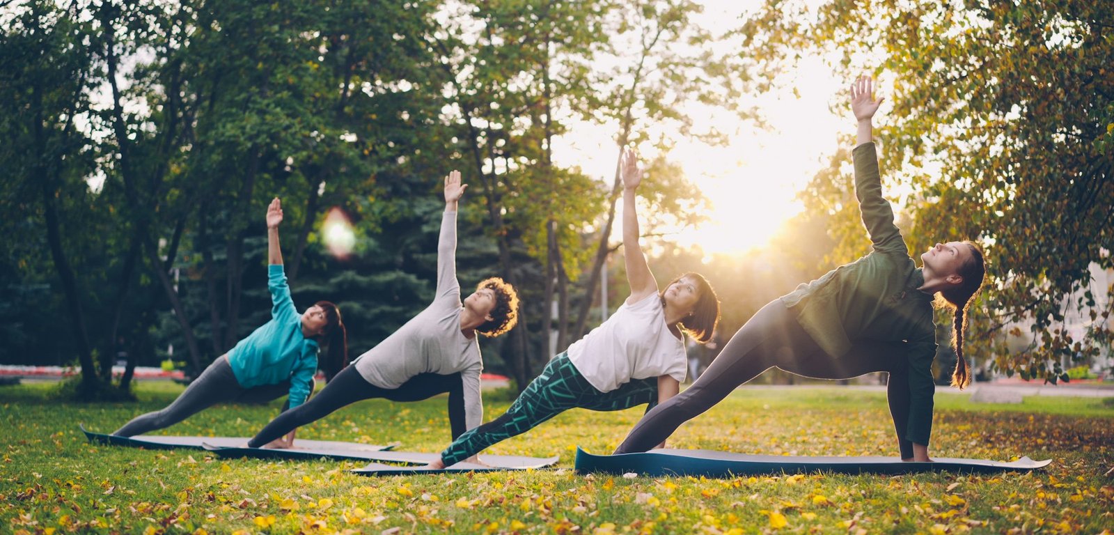 A group practising yoga together on grass in a park at sunset